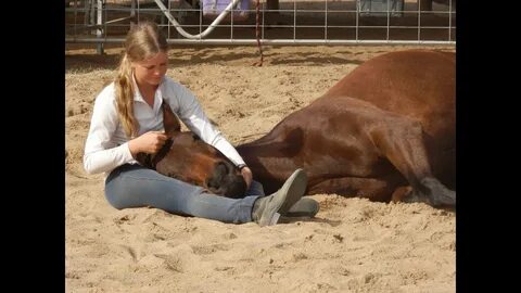 You are my one and only- Natural Horsemanship and Trick training. 