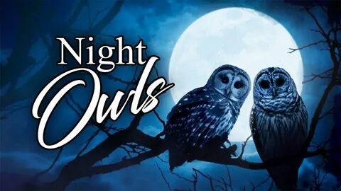 Night Owls - July 31 - YouTube