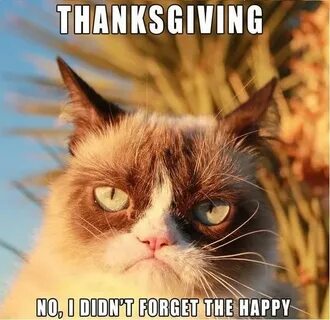 12 Funny Thanksgiving Memes That Capture Our Feelings For Th