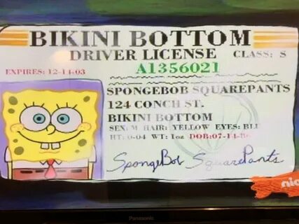 Spongebob Phone Number