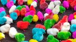মুরগীর রঙিন বাচ্চা!!! Colourful Chicken Baby. - YouTube