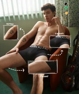 NOT Shawn Mendes Twitterissä: "Anatomy of Shawn Mendes Calvi