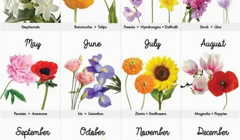 Birth Flowers For Each Month Tattoos : #flower #names #eachs