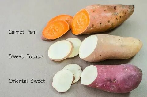 Learn the difference between sweet potatoes and yams, along 