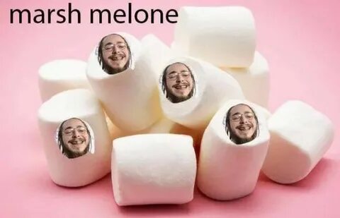 Pin by Ambrielle Padget on Post Malone Post malone, Funny re