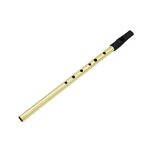 Irish Whistle Flute D key Flute Instrument 6 Hole Irish Tin 