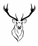 How To Draw Whitetail Deer Antlers