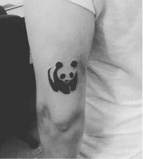70+ Cute Panda Tattoos for Men (2022) Cool Small Designs