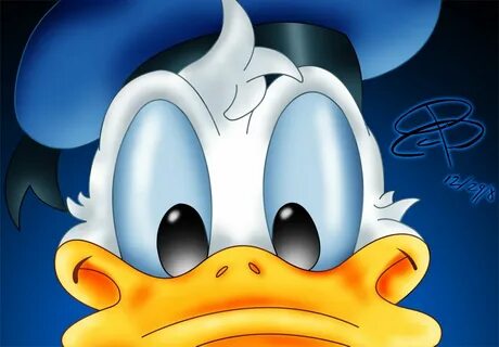 Donald Duck Close Up Duck cartoon, Donald and daisy duck, Do