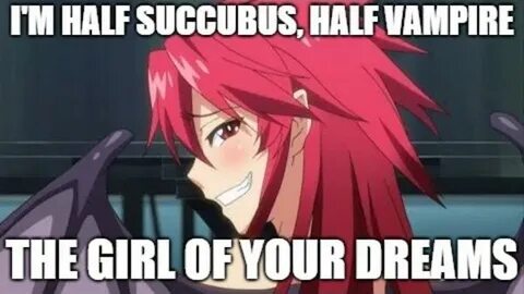 I'm Half Succubus, Half Vampire. The girl of your dreams. It