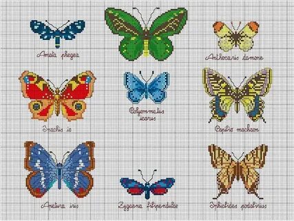 Butterfly Cross Stitch Patterns Kruissteekpatroon, Borduurpa