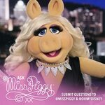 Miss Piggy Launches Advice Column on Oh My Disney - Laughing