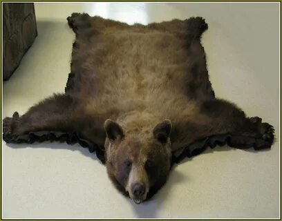 Faux Bear Skin Rug With Head Bear skin rug, Faux bear skin r