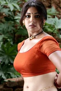 Richa Gangopadhyay Hot Images Women Indian Actresses,Hot Actress Photos Ric...