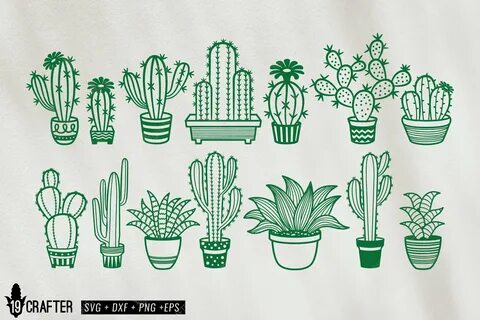 Cactus SVG,Cactus Clipart,Succulent Svg,Cacti Svg,Plants Svg