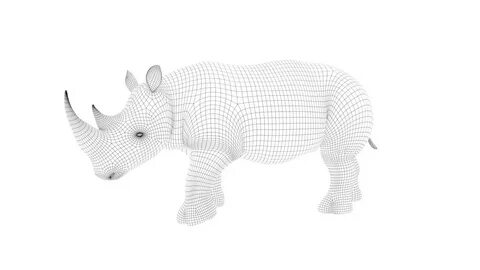 Lucy Ogden-Doyle - White Rhinoceros