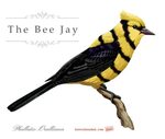 The Bee Jay and the Spelling Code of Parents