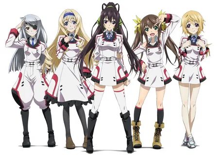 Скачать обои девушки, anime, art, Infinite Stratos, Houki Sh