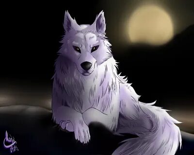 White Wolf Aniu by KazumiNoMegami on DeviantArt