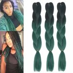 Buy Dingxiu (8Packs,24inch) Ombre Braiding Hair Extensions A