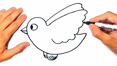 Cómo dibujar un Pájaro Fácil Dibujo de Pájaro - YouTube