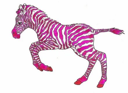 a very cool zebra. Zebra, Pink zebra, Pink