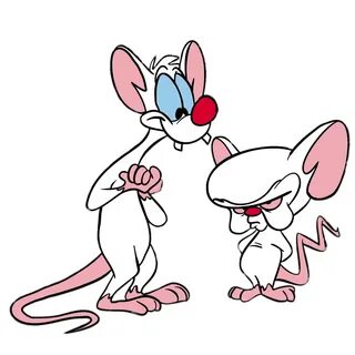 Check out this transparent Pinky and The Brain PNG image