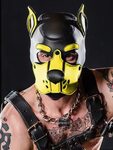 Mister S Neopren K9 Puppy-Maske - schwarz/gelb kaufen Spexte