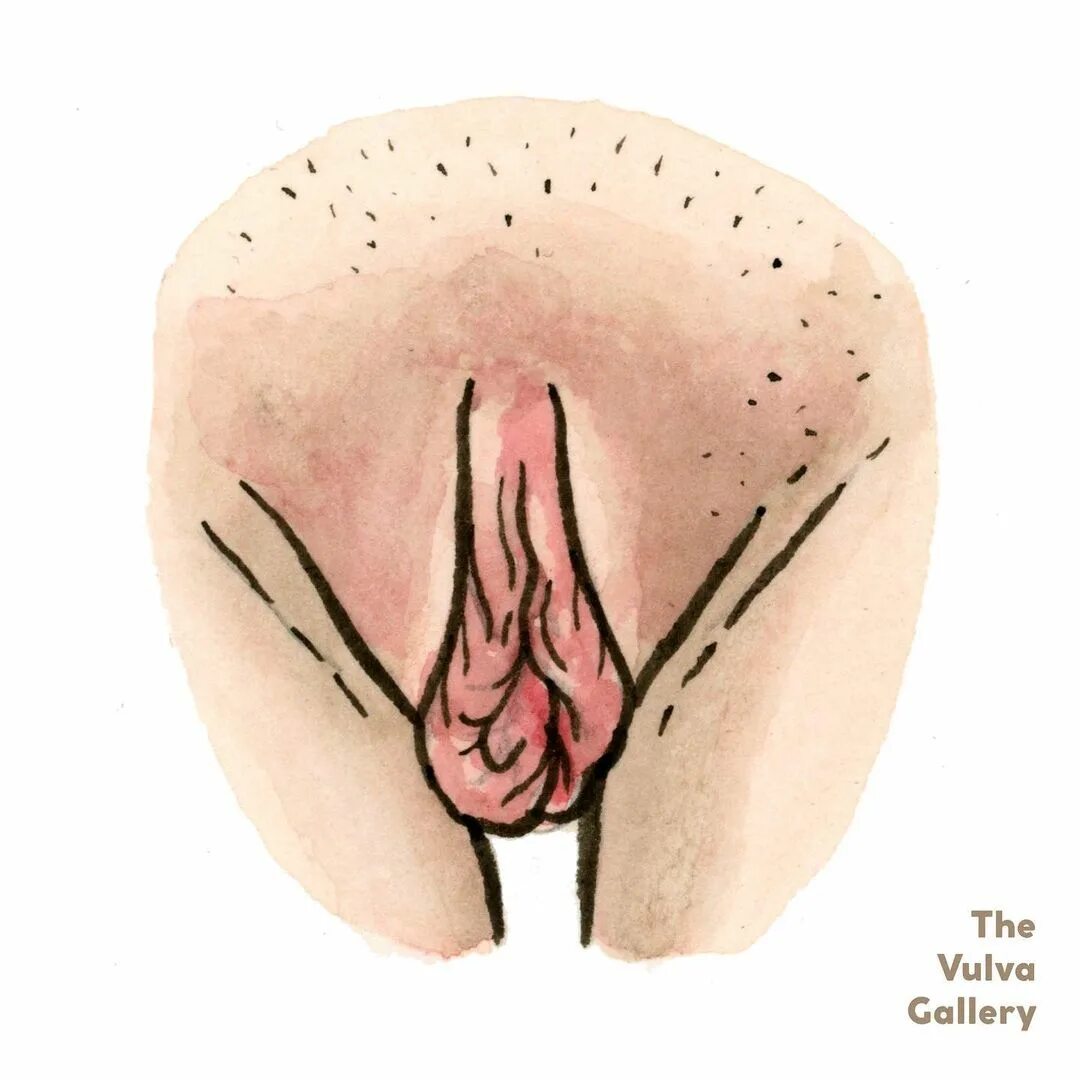 The Vulva Gallery on Instagram: "(CW: Mention of self-harm thoughts) ....