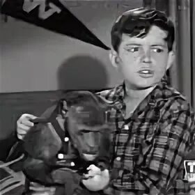 "Beaver" Beaver's Monkey (TV Episode 1960) - IMDb