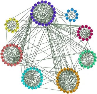 Detecting Communities Based on Network Topology Scientific R