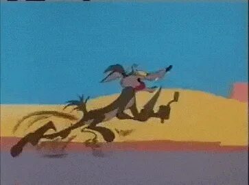 Road Runner & Wile E Coyote - 43 - Chariots of Fur animated 