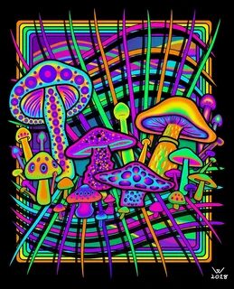 Magic Mushrooms Digital Art by Zelda Welgemoed Fine Art Amer