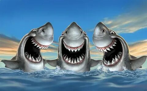 Mark Fredrickson4 Shark art, Illustration, Funny illustratio
