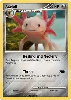 Pokémon Axolotl 52 52 - Healing and Neoteny - My Pokemon Car