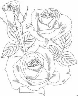 Dibujos de rosas Hermosas para colorear - Dibujos para Impri