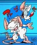 Pinky and the Brain by EeyorbStudios on DeviantArt Character