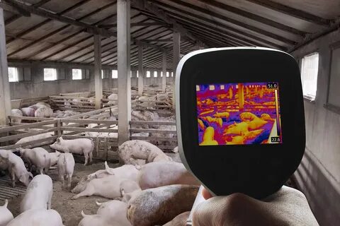 Four disruptive technologies that will drive animal ag forwa