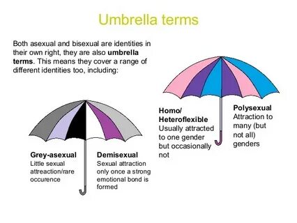 umbrella identity Latest trends OFF-62