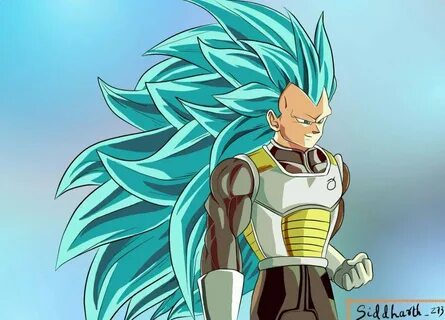 Vegeta super saiyan blue 3 DragonBallZ Amino