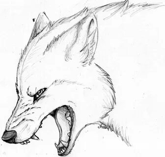 Snarling Wolf Sketch at PaintingValley.com Explore collectio