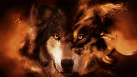 Alpha Wolf Wallpapers - 4k, HD Alpha Wolf Backgrounds on Wal