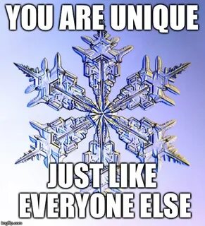 Special Snowflake - Imgflip