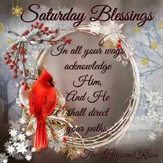 Saturday Blessings Red birds, Bird quotes, Blessed