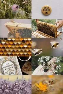 Bumble Bee Aesthetic ; requested by anon Top left image avai