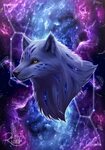 Фиолетовый волк: фото, изображения и картинки