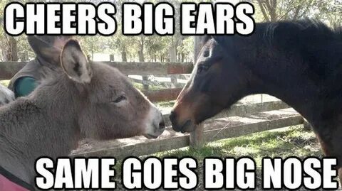 Big ear Jokes