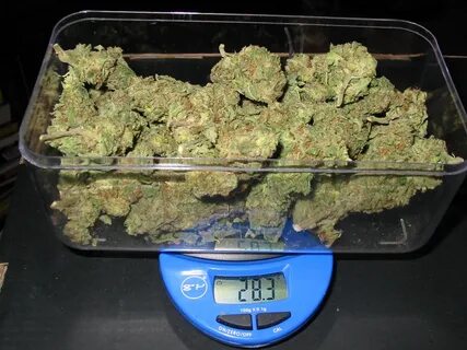 Weed Measurements Guide: Weights, Quantities, Prices - BudVe