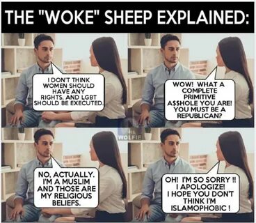 Woke Morons Explained - PaulCraigRoberts.org