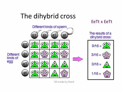 Cells I can distinguish between prokaryotic and eukaryotic c